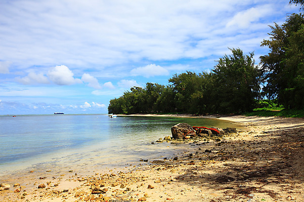 포토 JPG 주간 나무 식물 구름 해외풍경 해외 계절 물결 바다 섬 여행 하늘 휴가 풍경 해변 사람없음 야외 여름 여름휴가 바캉스 모래사장 맑음 돌_바위 바위 수면 해수욕장 휴양지 남태평양 사이판 국내포토 자연요소 날씨 물 장소 오세아니아 태평양 파일형식 여름_계절