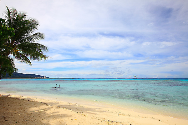 포토 JPG 주간 나무 식물 구름 해외풍경 해외 계절 물결 바다 섬 여행 하늘 휴가 풍경 해변 사람없음 야외 여름 여름휴가 바캉스 모래사장 맑음 수면 해수욕장 휴양지 남태평양 사이판 국내포토 자연요소 날씨 물 장소 오세아니아 태평양 파일형식 여름_계절
