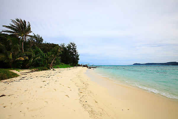 포토 JPG 주간 나무 식물 구름 해외풍경 해외 계절 물결 바다 섬 여행 하늘 휴가 풍경 해변 사람없음 야외 여름 여름휴가 바캉스 모래사장 맑음 수면 해수욕장 휴양지 남태평양 사이판 국내포토 자연요소 날씨 물 장소 오세아니아 태평양 파일형식 여름_계절