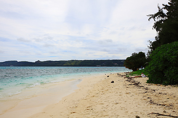 포토 JPG 주간 나무 식물 구름 해외풍경 해외 계절 물결 바다 섬 여행 하늘 휴가 풍경 해변 사람없음 야외 여름 여름휴가 바캉스 모래사장 맑음 수면 해수욕장 휴양지 남태평양 사이판 국내포토 자연요소 날씨 물 장소 오세아니아 태평양 파일형식 여름_계절