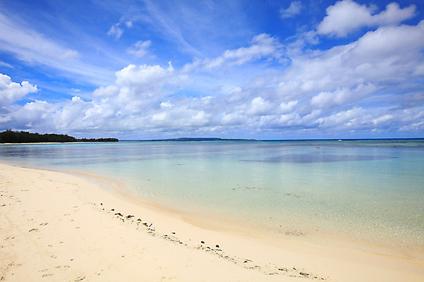 포토 JPG 주간 나무 식물 구름 해외풍경 해외 계절 물결 바다 섬 여행 하늘 휴가 풍경 해변 사람없음 야외 여름 여름휴가 바캉스 모래사장 맑음 수면 해수욕장 휴양지 남태평양 사이판 국내포토 자연요소 날씨 물 장소 오세아니아 태평양 파일형식 여름_계절