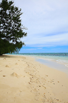포토 JPG 주간 나무 식물 구름 해외풍경 해외 계절 물결 바다 섬 여행 하늘 휴가 풍경 해변 사람없음 야외 여름 여름휴가 바캉스 모래사장 맑음 수면 해수욕장 휴양지 남태평양 사이판 국내포토 자연요소 날씨 물 장소 오세아니아 태평양 파일형식 여름_계절