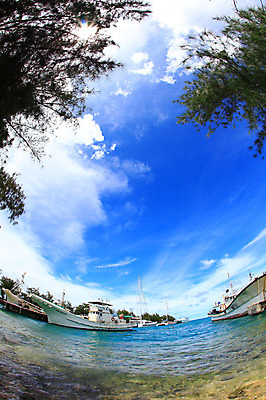 포토 JPG 주간 나무 식물 구름 해외풍경 해외 계절 물결 파도 바다 섬 여행 하늘 휴가 풍경 해변 사람없음 야외 여름 여름휴가 바캉스 항구 맑음 보트 수면 휴양지 남태평양 사이판 선박 국내포토 자연요소 수상교통 배_교통 교통시설 날씨 물 장소 오세아니아 태평양 파일형식 여름_계절