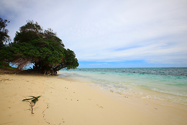 포토 JPG 주간 나무 식물 구름 해외풍경 해외 계절 물결 바다 섬 여행 하늘 휴가 풍경 해변 사람없음 야외 여름 여름휴가 바캉스 모래사장 맑음 수면 해수욕장 휴양지 남태평양 사이판 국내포토 자연요소 날씨 물 장소 오세아니아 태평양 파일형식 여름_계절