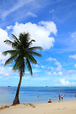 포토 JPG 주간 나무 식물 구름 해외풍경 해외 계절 물결 바다 섬 여행 하늘 휴가 풍경 여러명 해변 야외 여름 여름휴가 바캉스 야자수 맑음 수면 휴양지 남태평양 사이판 국내포토 자연요소 다수 날씨 사람 물 장소 오세아니아 태평양 파일형식 여름_계절