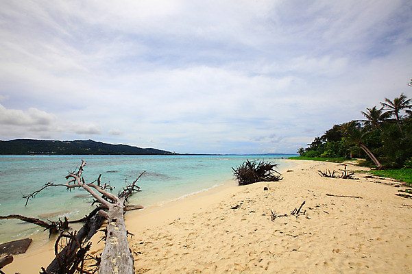 포토 JPG 주간 나무 식물 구름 해외풍경 해외 계절 물결 바다 섬 여행 하늘 휴가 한명 풍경 해변 야외 여름 여름휴가 바캉스 모래사장 맑음 나뭇가지 수면 해수욕장 휴양지 남태평양 사이판 국내포토 자연요소 1 날씨 사람 물 장소 오세아니아 태평양 파일형식 여름_계절