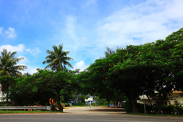 포토 JPG 주간 나무 식물 구름 해외풍경 해외 계절 화살표 도로 길 섬 여행 하늘 휴가 알림판 풍경 사람없음 야외 여름 여름휴가 바캉스 야자수 맑음 아스팔트 휴양지 남태평양 농구대 사이판 국내포토 자연요소 교통시설 날씨 장소 오세아니아 골대 태평양 파일형식 여름_계절