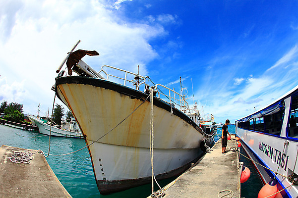 포토 JPG 주간 나무 식물 구름 해외풍경 해외 계절 물결 파도 바다 섬 여행 하늘 휴가 한명 풍경 해변 야외 여름 여름휴가 바캉스 항구 맑음 보트 수면 휴양지 남태평양 사이판 선박 국내포토 자연요소 1 수상교통 배_교통 교통시설 날씨 사람 물 장소 오세아니아 태평양 파일형식 여름_계절