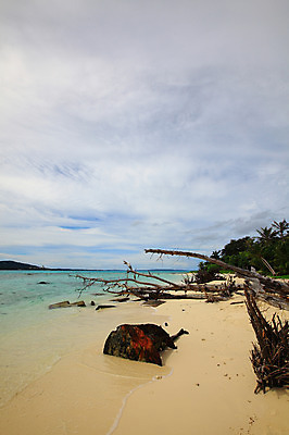 포토 JPG 주간 나무 식물 구름 해외풍경 해외 계절 물결 바다 섬 여행 하늘 휴가 풍경 해변 사람없음 야외 여름 여름휴가 바캉스 모래사장 맑음 나뭇가지 수면 해수욕장 휴양지 남태평양 사이판 국내포토 자연요소 날씨 물 장소 오세아니아 태평양 파일형식 여름_계절