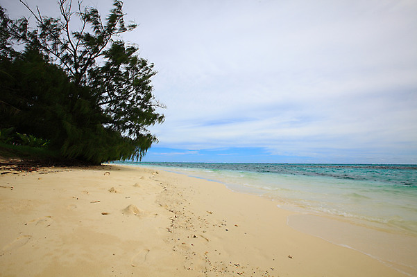 포토 JPG 주간 나무 식물 구름 해외풍경 해외 계절 물결 바다 섬 여행 하늘 휴가 풍경 해변 사람없음 야외 여름 여름휴가 바캉스 모래사장 맑음 수면 해수욕장 휴양지 남태평양 사이판 국내포토 자연요소 날씨 물 장소 오세아니아 태평양 파일형식 여름_계절