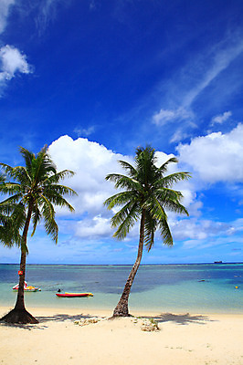 포토 JPG 주간 나무 식물 구름 해외풍경 해외 계절 바다 섬 여행 하늘 휴가 풍경 해변 사람없음 야외 여름 여름휴가 바캉스 모래사장 야자수 맑음 보트 수면 해수욕장 휴양지 남태평양 사이판 선박 국내포토 자연요소 수상교통 배_교통 날씨 물 장소 오세아니아 태평양 파일형식 여름_계절