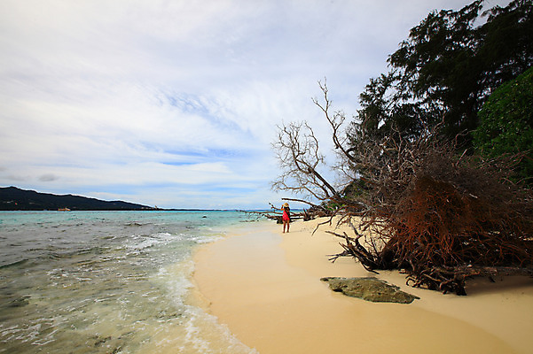 포토 JPG 주간 나무 식물 구름 해외풍경 해외 계절 물결 바다 섬 여행 하늘 휴가 한명 풍경 해변 야외 여름 여름휴가 바캉스 모래사장 맑음 수면 해수욕장 휴양지 남태평양 사이판 국내포토 자연요소 1 날씨 사람 물 장소 오세아니아 태평양 파일형식 여름_계절