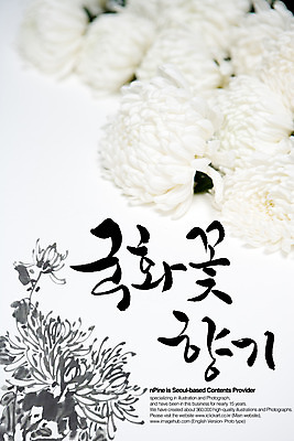 PSD 식물 편집이미지 문자 손글씨 꽃 캘리배경 백그라운드 캘리편집 캘리그라피 국화 타이포그라피 글자캘리그라피 한글 사람없음 단어 향기 이미지편집 냄새 파일형식