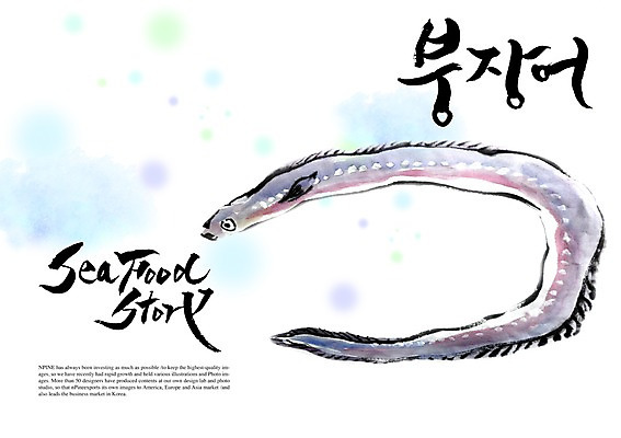 PSD 편집이미지 문자 손글씨 캘리배경 백그라운드 캘리편집 캘리그라피 어류 타이포그라피 글자캘리그라피 한글 사람없음 단어 장어 해산물 붕장어 이미지편집 수중동물 파일형식