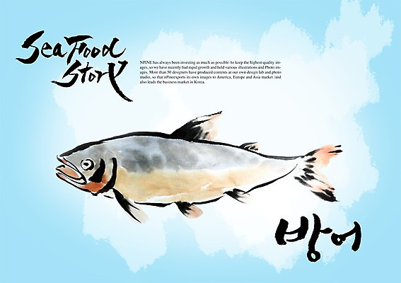 PSD 편집이미지 문자 손글씨 캘리배경 백그라운드 캘리편집 캘리그라피 어류 타이포그라피 글자캘리그라피 한글 사람없음 단어 방어 해산물 이미지편집 수중동물 파일형식
