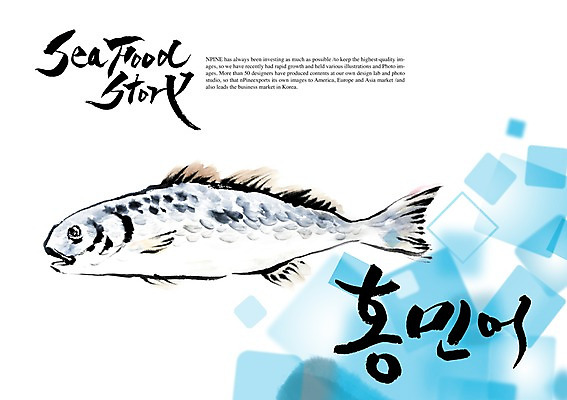 PSD 편집이미지 문자 손글씨 캘리배경 백그라운드 캘리편집 캘리그라피 어류 타이포그라피 글자캘리그라피 한글 사람없음 단어 해산물 민어 홍민어 이미지편집 수중동물 파일형식