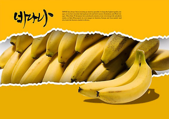 PSD 편집이미지 문자 손글씨 음식 캘리배경 백그라운드 과일 캘리편집 캘리그라피 바나나 타이포그라피 글자캘리그라피 한글 사람없음 단어 열대과일 이미지편집 파일형식