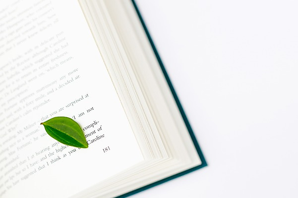 포토 JPG 스튜디오촬영 식물 문자 알파벳 영어 문장 백그라운드 잎 나뭇잎 실내 근접촬영 사람없음 간행물 책 펼침 확대 오브젝트 한권 문학 양장본 국내포토 1 뷰포인트 모션 내부 파일형식