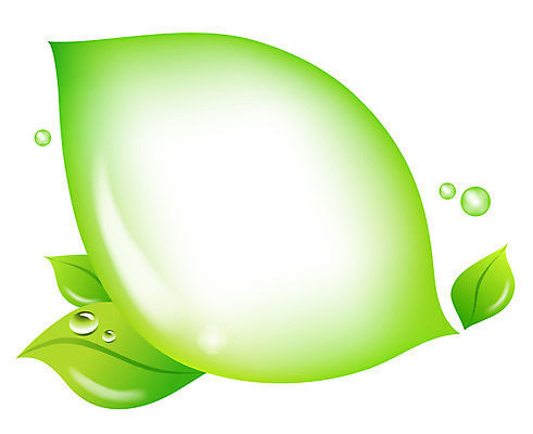 식물 배너 컬러 백그라운드 말풍선 잎 생각 일러스트 상상 자연 나뭇잎 안내 아이디어 프레임 틀 사람없음 연두색 알림 국내일러스트 AI파일 컨셉 초록색 생태계 파일형식 벡터