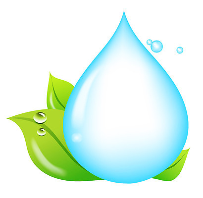 식물 배너 백그라운드 말풍선 잎 생각 일러스트 상상 안내 아이디어 프레임 틀 사람없음 물방울 알림 국내일러스트 AI파일 컨셉 파일형식 벡터