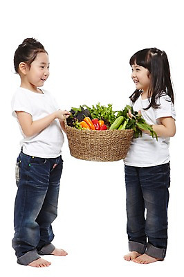 포토 JPG 스튜디오촬영 전신 라이프스타일 웰빙 여자 어린이라이프 어린이 음식 채소 맨발 자연 오이 파프리카 실내 건강 서기 미소 웃음 들기 누끼 사람 동양인 소녀 두명 옆모습 친구 농작물 바구니 소쿠리 환경 유치원 유치원생 한국인 반팔티셔츠 청바지 상추 친환경 유기농 채식 여자만 어린이만 소녀만 국내포토 교육 뷰포인트 티셔츠 농업 바지 관계 모션 발 표정 인종 내부 생활 생태계 파일형식