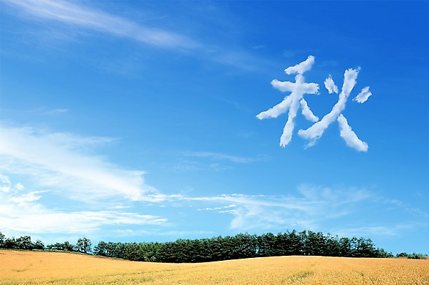 주간 자연요소 모양 PSD 나무 식물 구름 편집이미지 계절 백그라운드 밭 자연 하늘 논 풍경 사람없음 야외 한자 벼 가을 가을추 추 이미지편집 문자 농업 곡류 생태계 파일형식