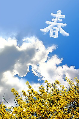 주간 자연요소 모양 PSD 식물 구름 편집이미지 계절 꽃 백그라운드 꽃밭 자연 하늘 풍경 사람없음 야외 한자 봄 개나리 봄춘 이미지편집 문자 생태계 파일형식