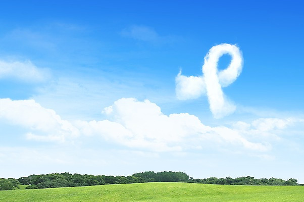 주간 자연요소 모양 PSD 나무 식물 구름 편집이미지 리본 백그라운드 자연 하늘 풍경 잔디 초원 사람없음 야외 풀 숲 평원 이미지편집 생태계 파일형식