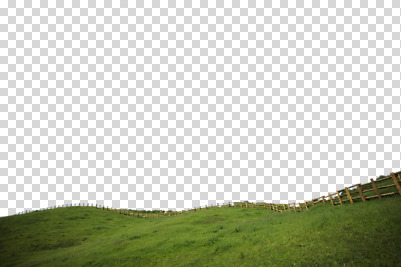 주간 식물 편집 편집이미지 컬러 자연 풍경 잔디 초원 사람없음 야외 초록색 울타리 목초지 목장 언덕 PNG 편집소스 자연요소 담장 생태계 파일형식 초원_자연