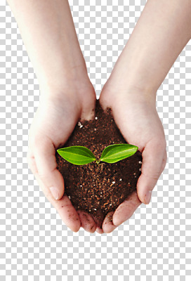 식물 편집 편집이미지 손 사계절 계절 잎 신체 자연 한명 손짓 신체부위 새싹 흙 봄 양손 원예 손모으기 팔 PNG 배양토 가꾸기 식물키우기 줄리아페페 편집소스 1 모션 사람 취미 생태계 파일형식