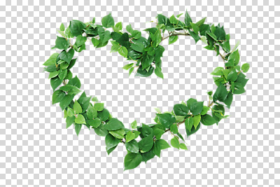 식물 편집 편집이미지 백그라운드 잎 나뭇잎 프레임 사람없음 하트 덩굴 오브젝트 PNG 편집소스 모양 파일형식