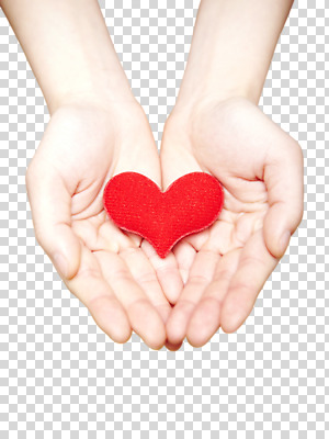 편집 편집이미지 손 포즈 프로포즈 신체 손바닥 사랑 한명 손짓 신체부위 양손 하트 손모으기 PNG 편집소스 모양 1 감정 모션 사람 파일형식
