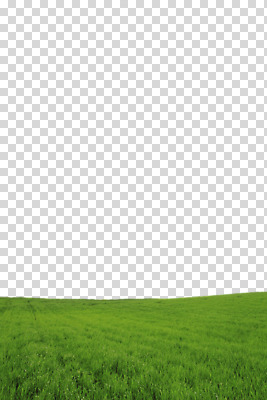 주간 식물 편집 편집이미지 공원 컬러 자연 풍경 잔디 초원 사람없음 야외 초록색 인조잔디 PNG 평야 편집소스 자연요소 공공시설 생태계 파일형식