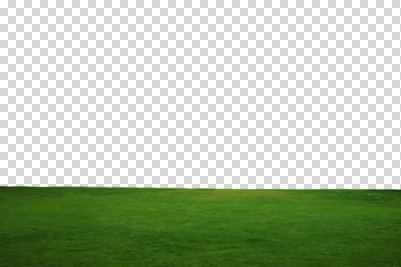 주간 식물 편집 편집이미지 공원 컬러 자연 풍경 잔디 초원 사람없음 야외 초록색 인조잔디 PNG 평야 편집소스 자연요소 공공시설 생태계 파일형식