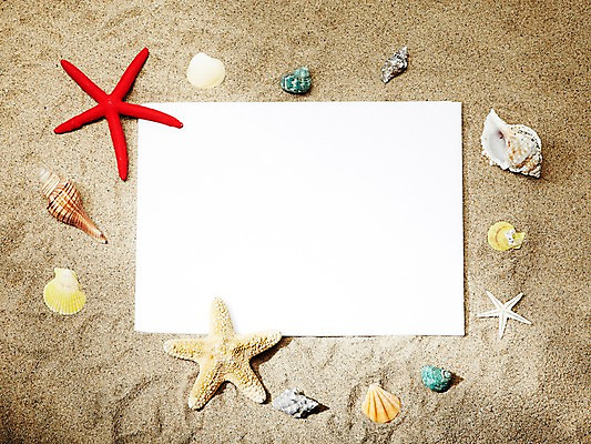 포토 JPG 스튜디오촬영 배너 계절 종이 모래 여행 백그라운드 컨셉 휴가 조개 불가사리 사각프레임 프레임 광고판 알림판 실내 틀 해변 사람없음 여름 여름휴가 바캉스 모래사장 흰색 메모지 조개껍데기 소라 알림 국내포토 바다 컬러 어패류 극피동물 내부 사각형 사무용품 판 파일형식 여름_계절