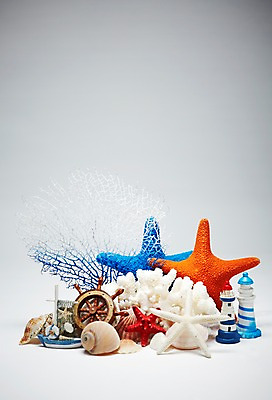 포토 JPG 스튜디오촬영 계절 백그라운드 열쇠 조개 불가사리 등대 실내 손잡이 사람없음 여름 미니어처 조개껍데기 부속품 산호초 소라 돛단배 오브젝트 키_배핸들 조타기계 선박 국내포토 수상교통 배_교통 어패류 극피동물 내부 모형 기계 수중식물 핸들 파일형식