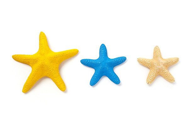 포토 JPG 스튜디오촬영 모양 동물 계절 별 불가사리 극피동물 실내 세마리 누끼 사람없음 여름 파란색 노란색 모형 바다동물 세개 동물모형 베이지색 국내포토 자연요소 바다 컬러 3 내부 수중동물 파일형식