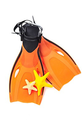 포토 JPG 스튜디오촬영 커플 계절 한쌍 컬러 여행 레저용품 레저 휴가 불가사리 실내 누끼 사람없음 여름 레포츠 여름휴가 바캉스 주황색 상품 오리발 오브젝트 레포츠용품 여행용품 한켤레 수영용품 국내포토 1 스포츠용품 관계 극피동물 내부 수영 파일형식 여름_계절