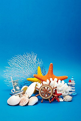 포토 JPG 스튜디오촬영 계절 백그라운드 열쇠 조개 불가사리 등대 실내 손잡이 사람없음 여름 미니어처 조개껍데기 부속품 산호초 소라 돛단배 오브젝트 키_배핸들 조타기계 선박 국내포토 수상교통 배_교통 어패류 극피동물 내부 모형 기계 수중식물 핸들 파일형식