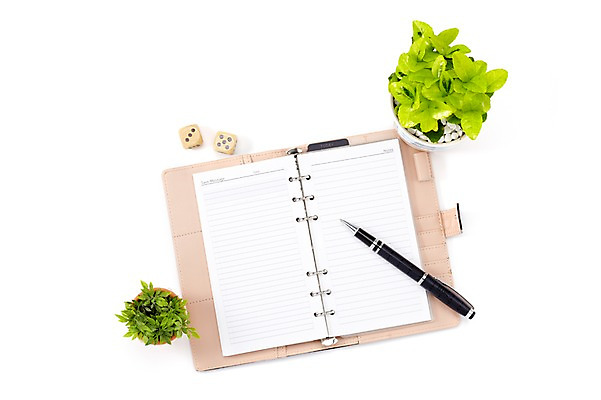 포토 JPG 스튜디오촬영 식물 계절 화분 화초 잎 생명 실내 누끼 사람없음 라이프 하이앵글 필기구 볼펜 만년필 다이어리 주사위 원예식물 미니화분 미니사철 국내포토 뷰포인트 문구용품 내부 생활 펜 사무용품 파일형식