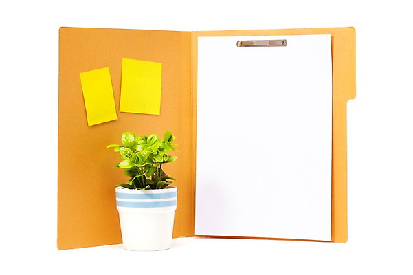 포토 JPG 스튜디오촬영 식물 계절 화분 종이 화초 잎 생명 문구용품 학용품 프레임 실내 누끼 사람없음 라이프 하이앵글 사무용품 봄 흰색 기록 메모지 백지 포스트잇 파일 원예식물 미니사철 사철나무 국내포토 나무 뷰포인트 컬러 내부 생활 오브젝트 파일형식