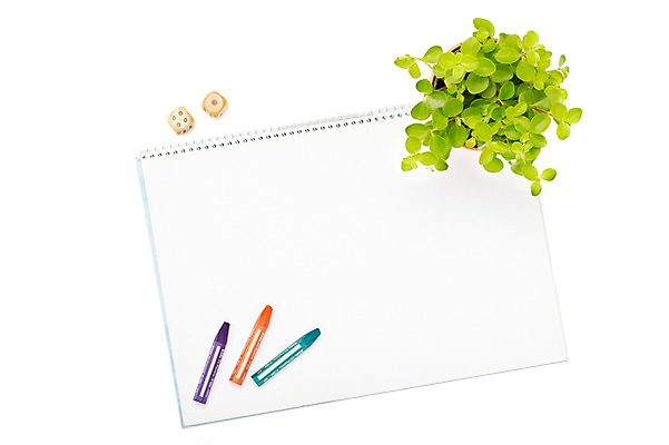 포토 JPG 스튜디오촬영 식물 계절 화분 화초 잎 생명 문구용품 학용품 실내 미술 누끼 사람없음 라이프 하이앵글 필기구 봄 미술도구 스케치북 주사위 크레파스 원예식물 미니화분 국내포토 뷰포인트 문화예술 내부 생활 오브젝트 파일형식