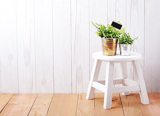 포토 JPG 스튜디오촬영 식물 계절 꽃잎 꽃 화분 화초 가구 백그라운드 잎 의자 생명 실내 사람없음 라이프 봄 팻말 원예식물 국내포토 생활용품 프레임 내부 생활 파일형식