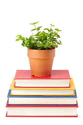 포토 JPG 스튜디오촬영 식물 계절 표지 화분 화초 백그라운드 잎 생명 실내 누끼 사람없음 라이프 간행물 책 쌓기 봄 커버 오브젝트 여러권 문학 양장본 원예식물 미니화분 국내포토 다수 모션 내부 생활 파일형식