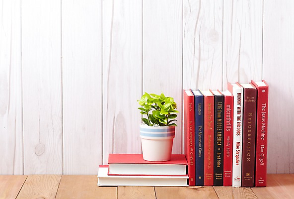 포토 JPG 스튜디오촬영 식물 계절 표지 화분 화초 잎 생명 실내 사람없음 라이프 간행물 책 쌓기 봄 커버 여러권 문학 정리 양장본 원예식물 미니화분 정열 미니사철 국내포토 다수 모션 내부 생활 파일형식