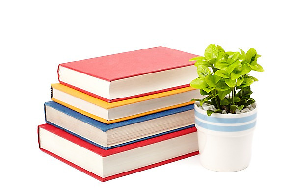 포토 JPG 스튜디오촬영 식물 계절 표지 화분 화초 잎 생명 실내 누끼 사람없음 라이프 간행물 책 쌓기 봄 커버 오브젝트 여러권 문학 양장본 원예식물 미니화분 미니사철 국내포토 다수 모션 내부 생활 파일형식