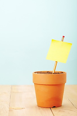 포토 JPG 스튜디오촬영 식물 계절 화분 백그라운드 문구용품 광고판 실내 사람없음 필기구 연필 사무용품 흙 봄 팻말 알림 배양토 국내포토 학용품 프레임 알림판 내부 오브젝트 판 파일형식