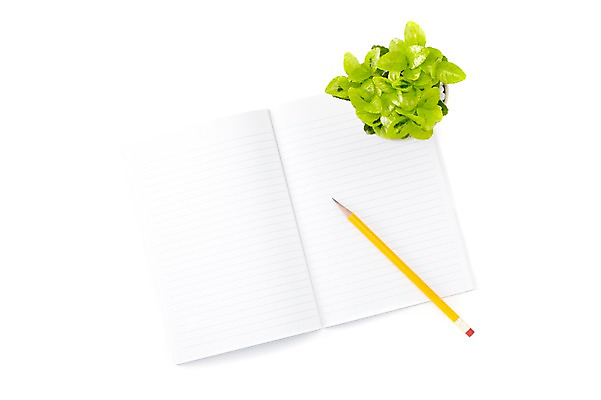 포토 JPG 스튜디오촬영 식물 계절 화분 화초 잎 생명 문구용품 실내 누끼 사람없음 라이프 하이앵글 필기구 연필 사무용품 공책 봄 원예식물 줄노트 미니사철 국내포토 뷰포인트 학용품 내부 생활 오브젝트 파일형식