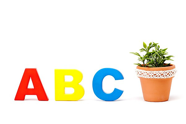 포토 JPG 스튜디오촬영 식물 문자 알파벳 영어 계절 화분 화초 잎 생명 실내 누끼 사람없음 라이프 하이앵글 봄 원예식물 미니화분 상록넉줄고사리 국내포토 뷰포인트 내부 생활 파일형식