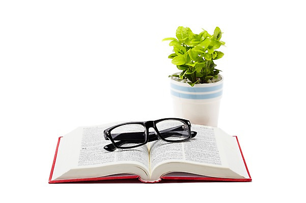 포토 JPG 스튜디오촬영 식물 계절 화분 안경 화초 잎 생명 실내 누끼 사람없음 라이프 책 봄 원예식물 국내포토 잡화 내부 생활 파일형식